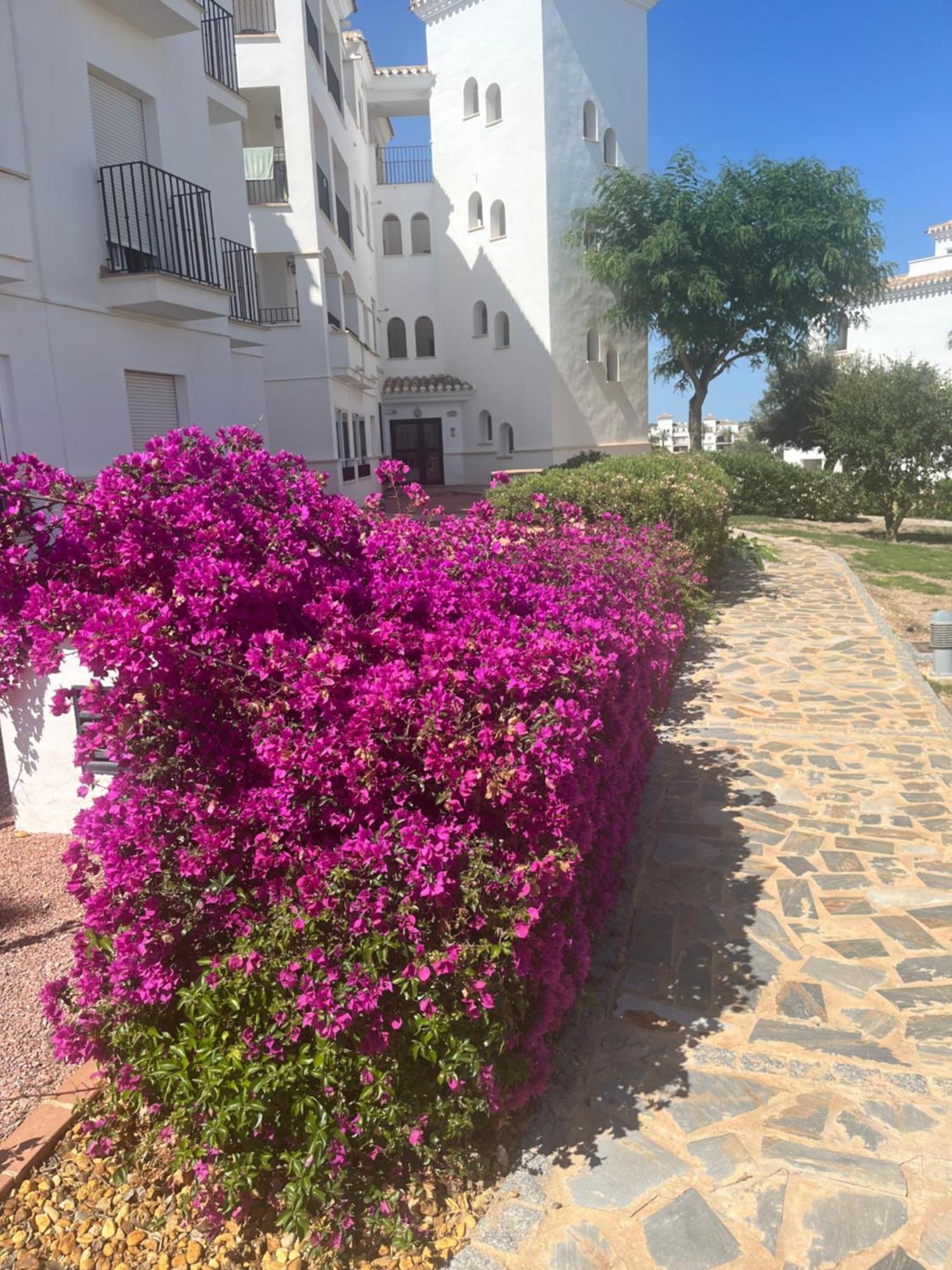 La Casa Rosita, Hacienda Riquelme Golf Resort Sucina 木尔西亚 外观 照片